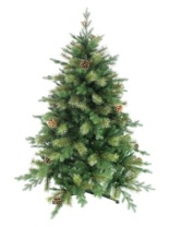 Фото Ель Боярская зеленая с шишками 1,5 м Ель Боярская зеленая с шишками 1,5 м