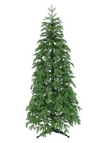 Фото Ель Ассоль зеленая 2,1 м Ель Ассоль зеленая 2,1 м