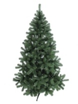 Фото Ель Торонто зеленая 2,1 м Ель Торонто зеленая 2,1 м